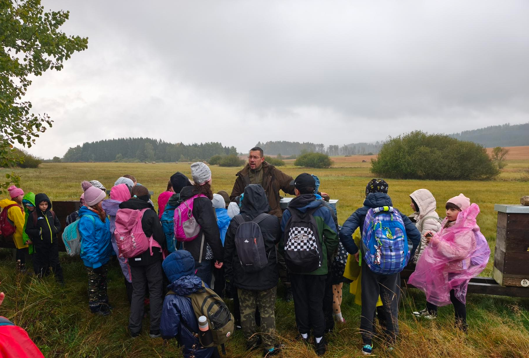 &Scaron;koln&iacute; v&yacute;let